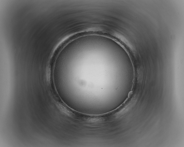 X0000111351021200907101206