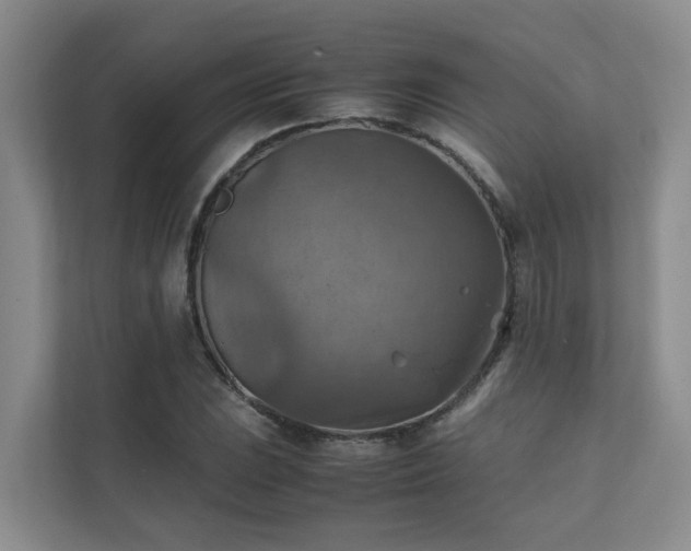 X0000111351023200907101206