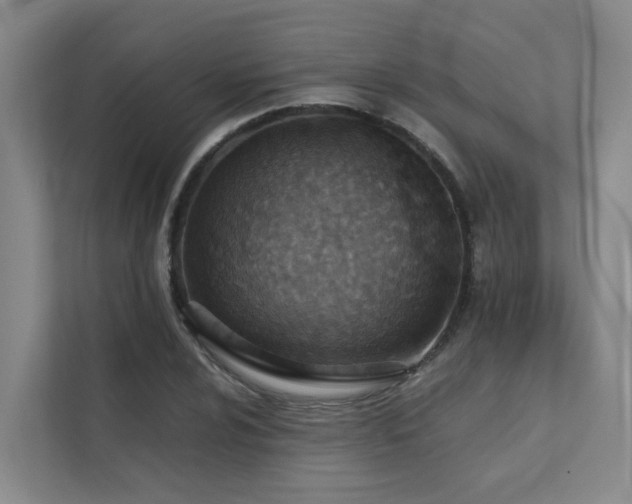 X0000111351024200907101206