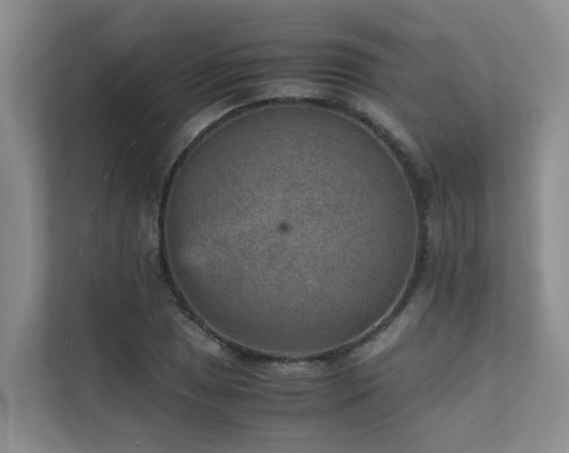 X0000111351025200907101206