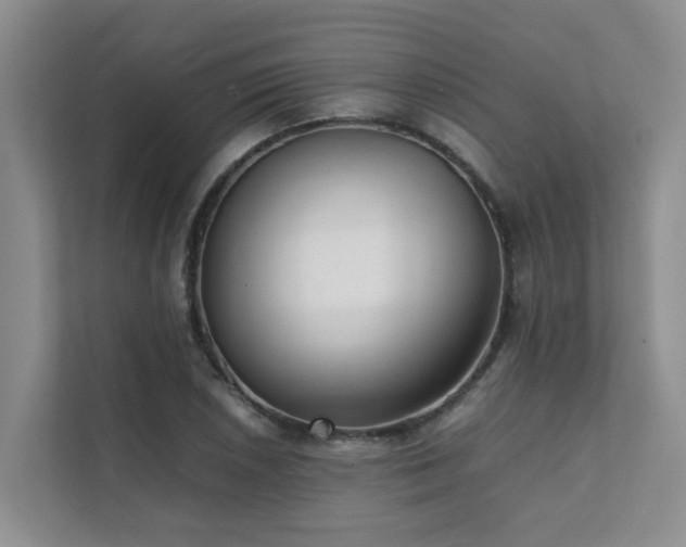 X0000111351026200907101206
