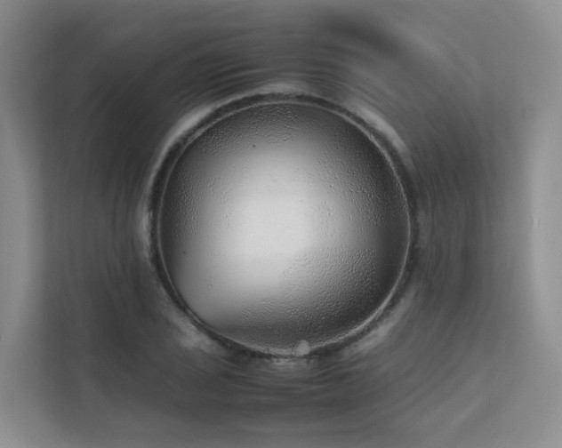 X0000111351029200907101206