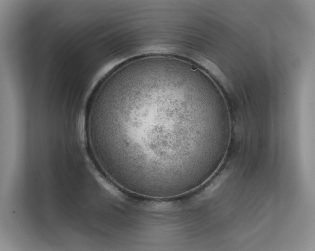 X0000111351030200907101206