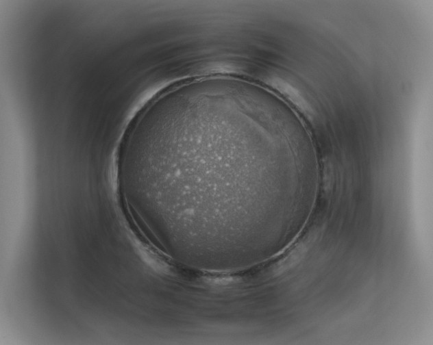 X0000111351031200907101206