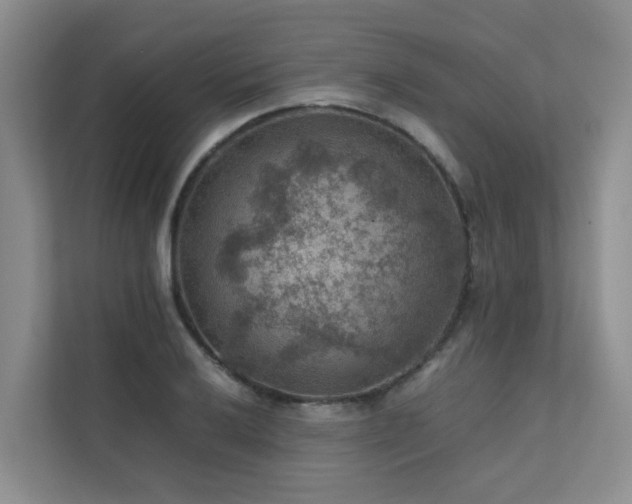 X0000111351032200907101206