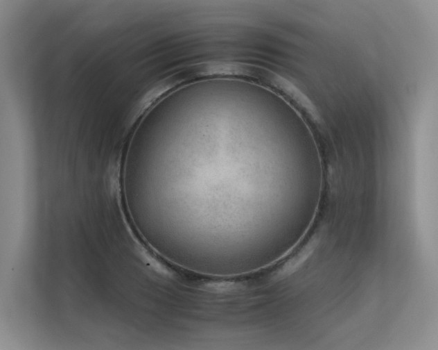 X0000111351033200907101206
