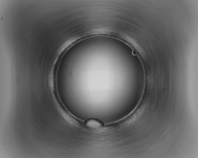 X0000111351034200907101206