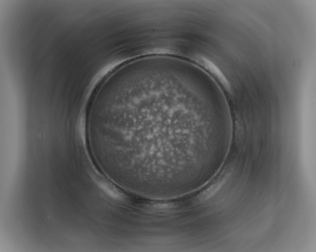 X0000111351035200907101206