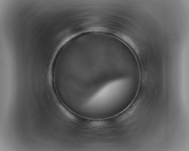 X0000111351037200907101206