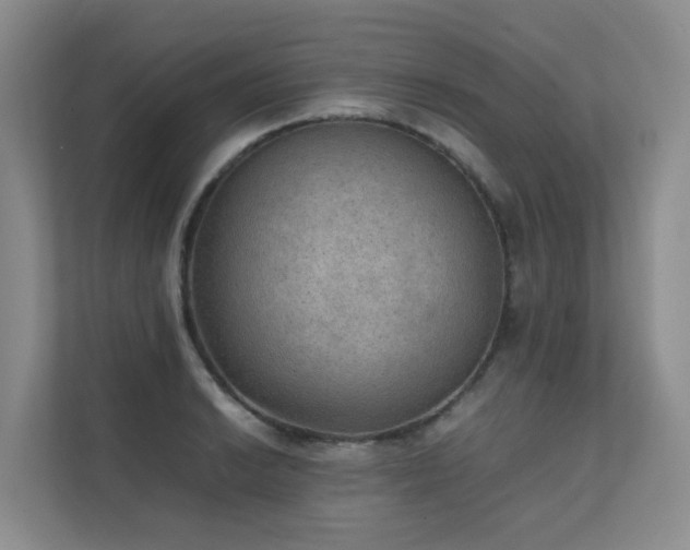 X0000111351038200907101206
