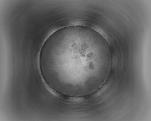X0000111351039200907101206