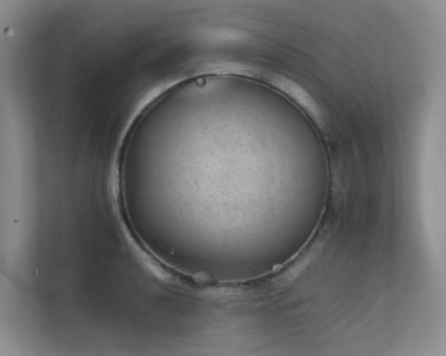 X0000111351040200907101206