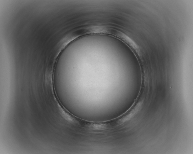 X0000111351041200907101206