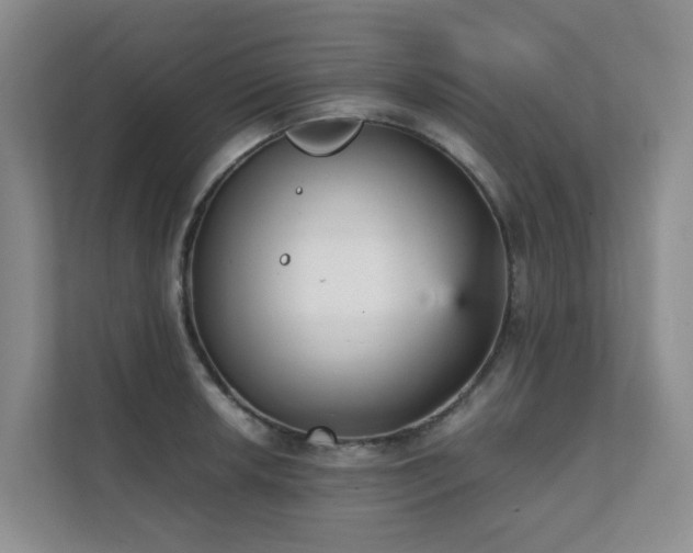 X0000111351042200907101206