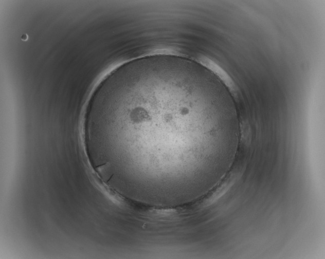 X0000111351043200907101206