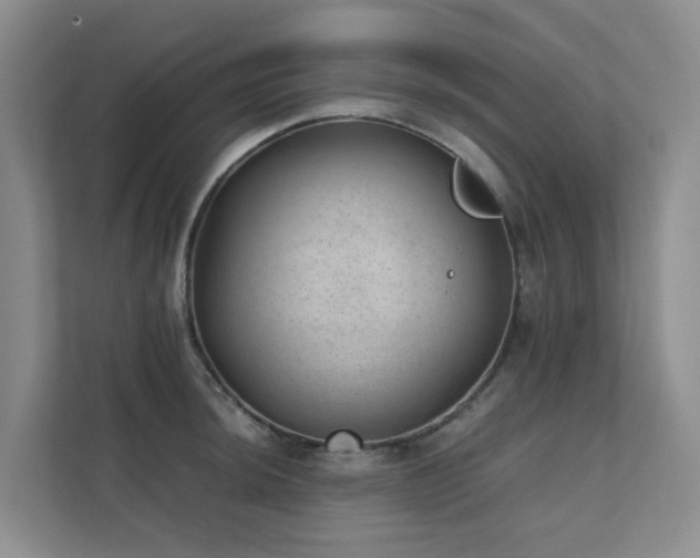 X0000111351044200907101206