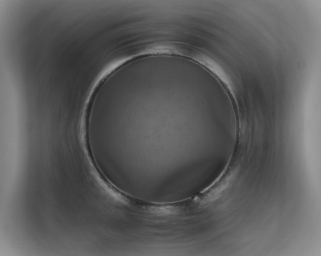 X0000111351045200907101206