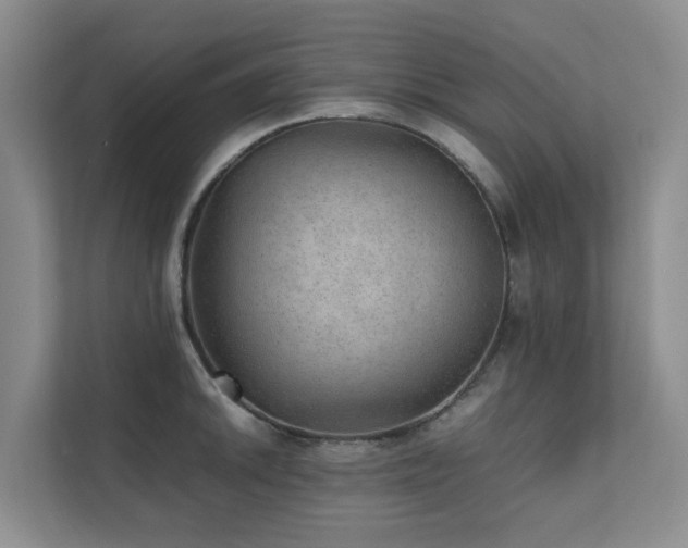 X0000111351046200907101206