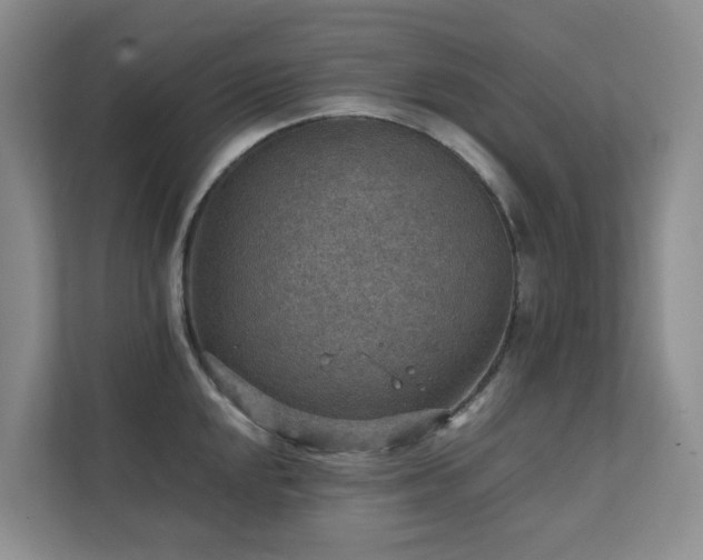 X0000111351048200907101206