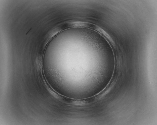 X0000111351049200907101206