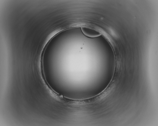 X0000111351050200907101206