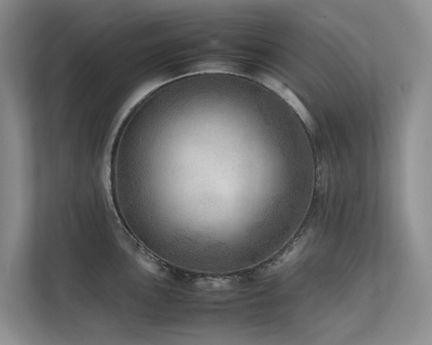 X0000111351051200907101206