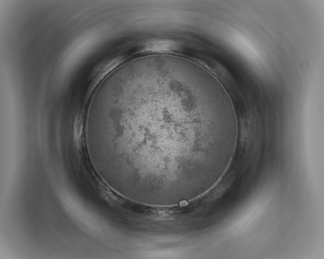 X0000111351052200907101206