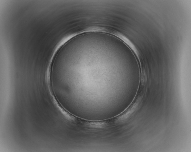 X0000111351053200907101206