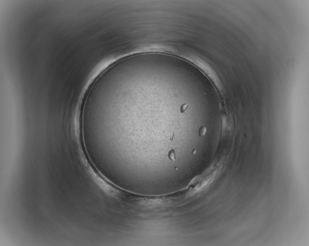 X0000111351054200907101206
