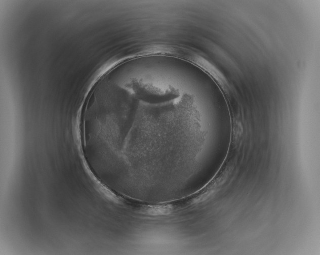 X0000111351055200907101206