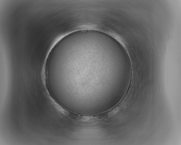X0000111351056200907101206