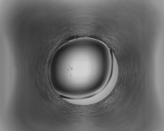 X0000111351057200907101205
