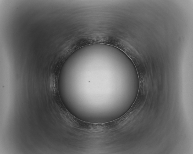 X0000111351058200907101205