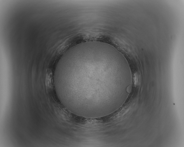 X0000111351059200907101205