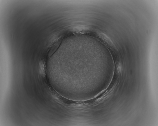 X0000111351060200907101205