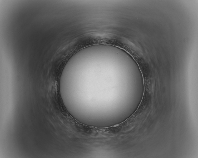 X0000111351061200907101205