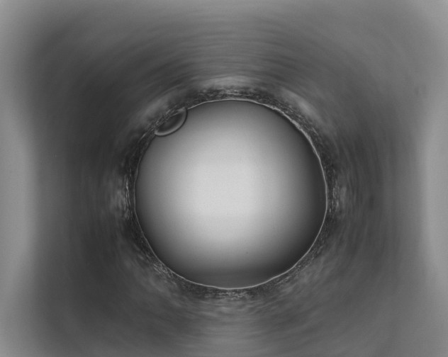 X0000111351062200907101205