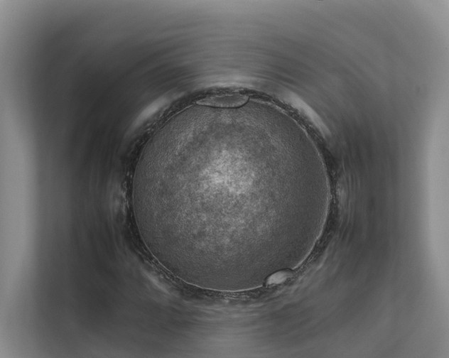 X0000111351064200907101205