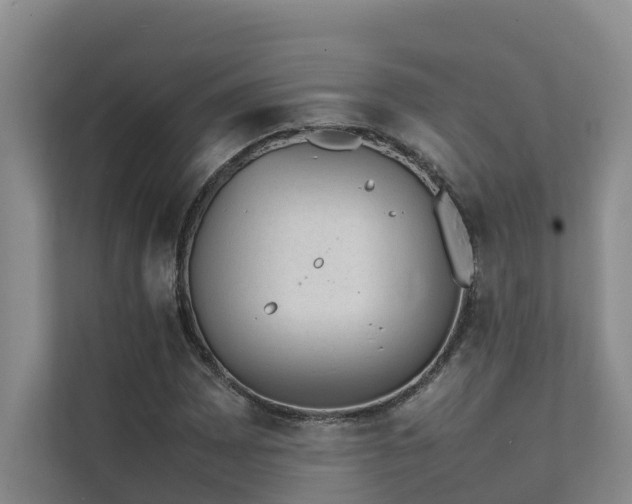 X0000111351065200907101205