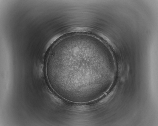 X0000111351066200907101205