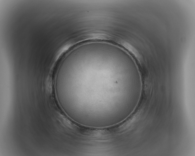 X0000111351067200907101205