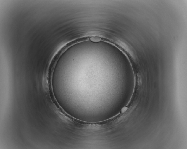 X0000111351068200907101205