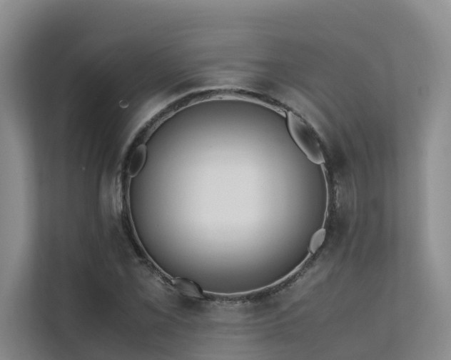X0000111351069200907101205