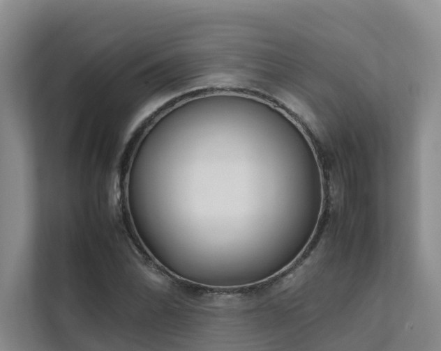 X0000111351070200907101205