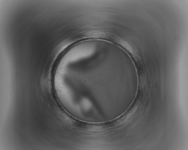 X0000111351071200907101205