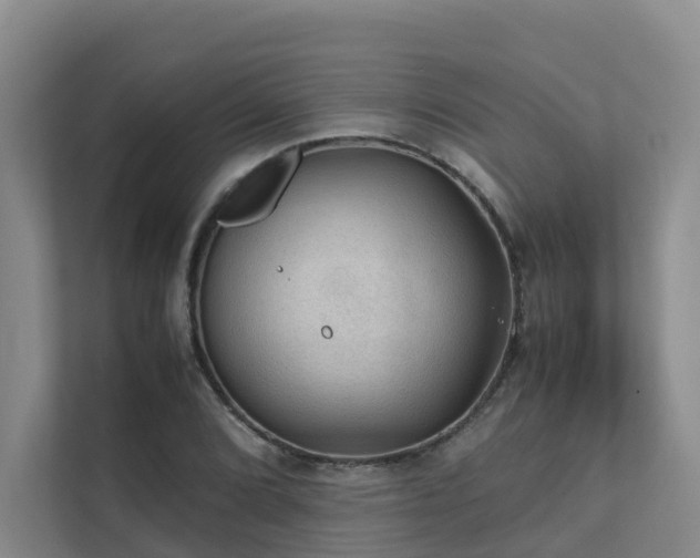 X0000111351072200907101205