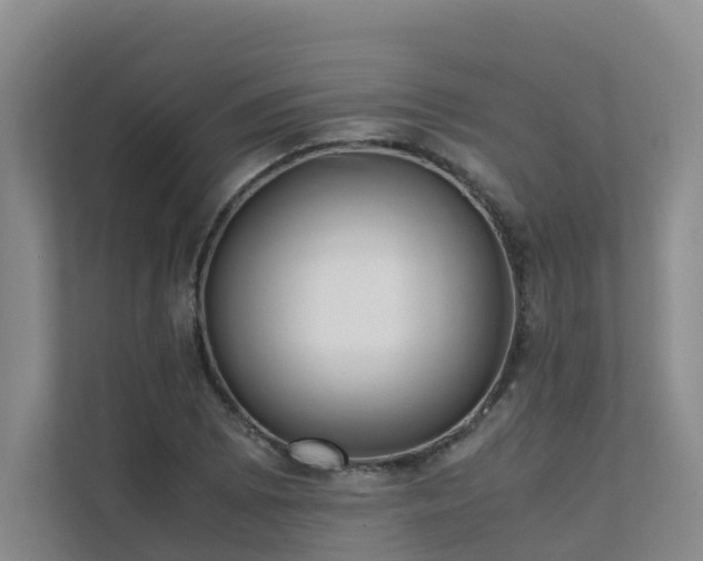 X0000111351073200907101205