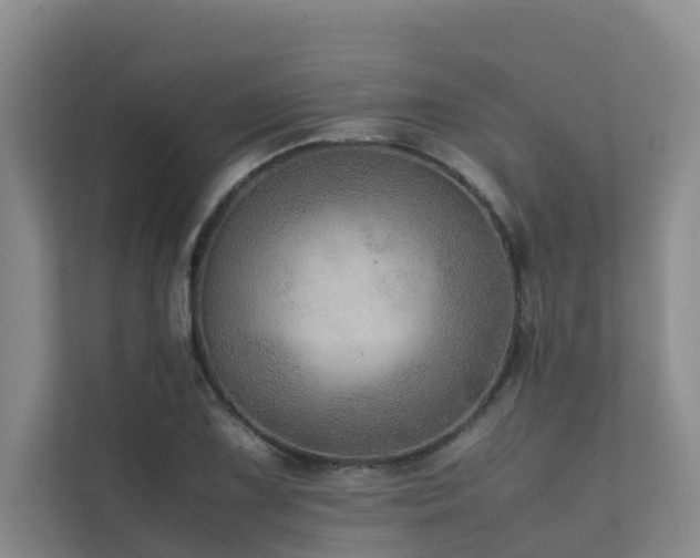 X0000111351075200907101205