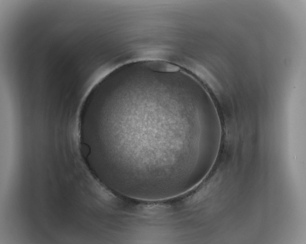 X0000111351077200907101205