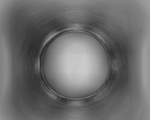 X0000111351078200907101205